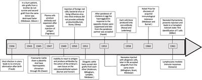 Transplant Tolerance, Not Only Clonal Deletion